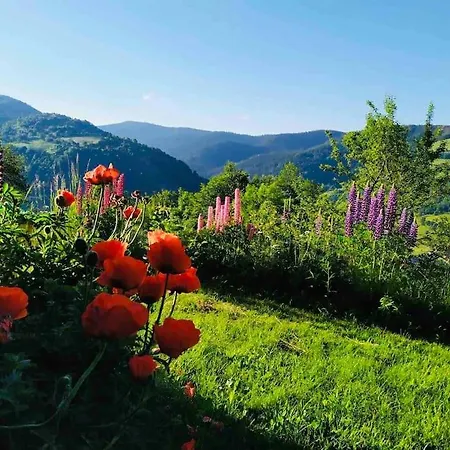 Appartement Gite Lipa Situe A La Bresse, A 5 Mn De Gerardmer La Bresse