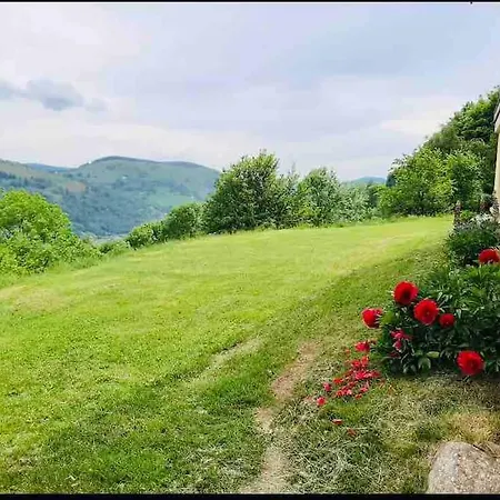Appartement Gite Lipa Situe A La Bresse, A 5 Mn De Gerardmer *